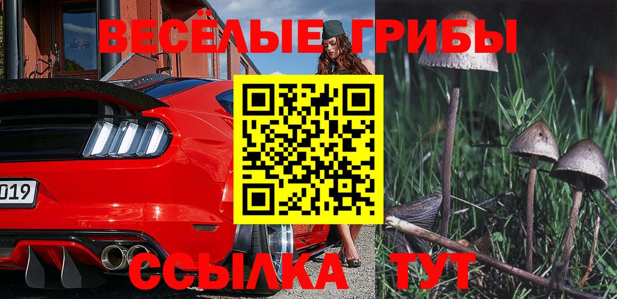 Псилоцибиновые грибы MAGIC MUSHROOMS Нерюнгри