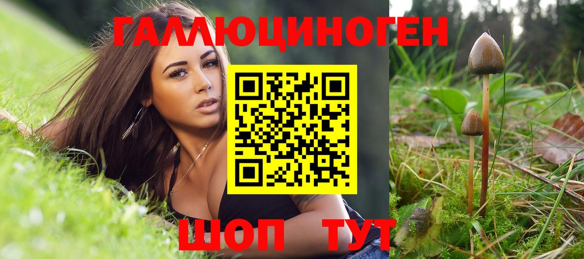 Галлюциногенные грибы Psilocybe Нерюнгри
