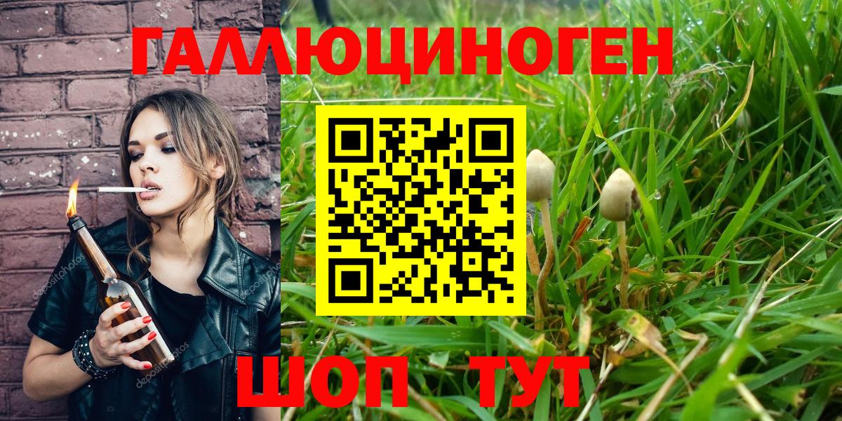 Нерюнгри  Псилоцибиновые грибы Psilocybe  Вход с VPN  продажа наркотиков  Галлюциногенные грибы MAGIC MUSHROOMS 